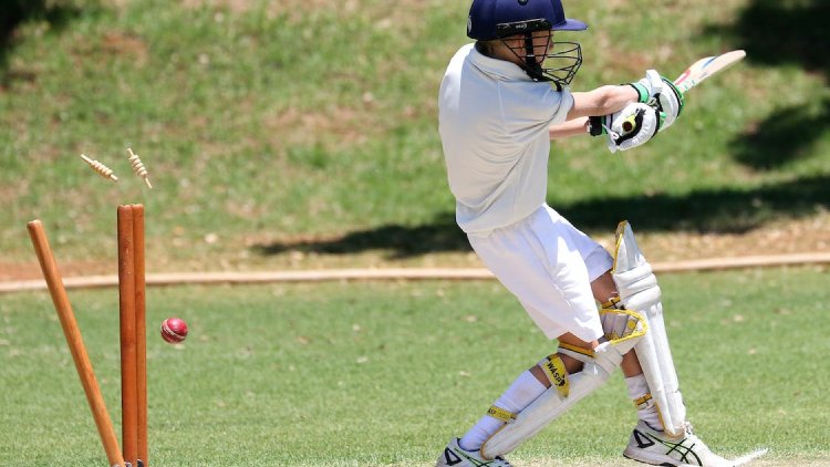 T20 World Cup: Host Nation Prepares for Spectacular Tournament